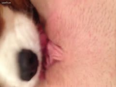 Barely legal shy amateur girl enjoying oral sex from her puppy in this beastiality sex video
